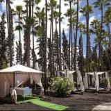 Barcelo Las Margaritas, Bild 2