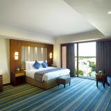 Royal Tulip Muscat, Bild 8