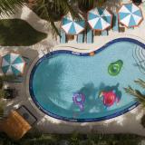 Generator Miami, Bild 3