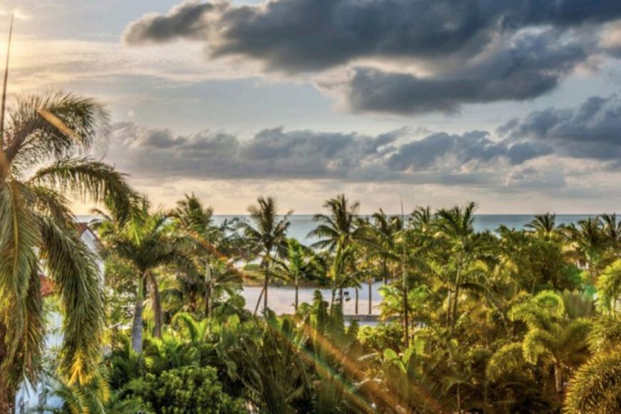 4 Sterne Hotel: Dream South Beach - Miami, Florida, Bild 8