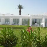 Amber El Fell, Bild 2