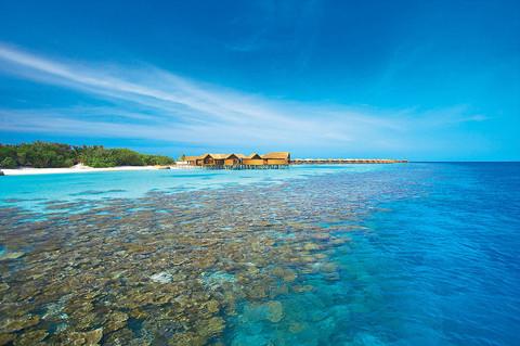 5 Sterne Familienhotel: Lily Beach Resort & Spa - Alif Dhaal Atoll, Ari Atoll (Nord & Süd), Bild 10