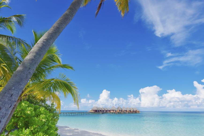 4 Sterne Hotel: Angaga Island Resort & Spa - Alif Dhaal Atoll, Ari Atoll (Nord & Süd)