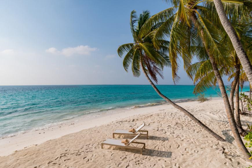 4 Sterne Hotel: Fiyavalhu Maldives - Mandhoo Island, Ari Atoll (Nord & Süd), Bild 2