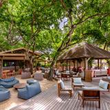 The Ravenala Attitude, Bild 6