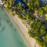 The Ravenala Attitude, Bild 2