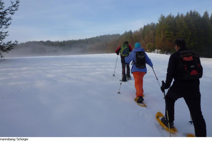0 Sterne Hotel: Vital & Wellnesshotel Schürger - Thurmansbang, Bayerischer Wald, Bild 7