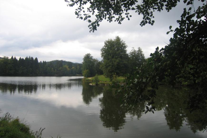 0 Sterne Hotel: Vital & Wellnesshotel Schürger - Thurmansbang, Bayerischer Wald, Bild 5