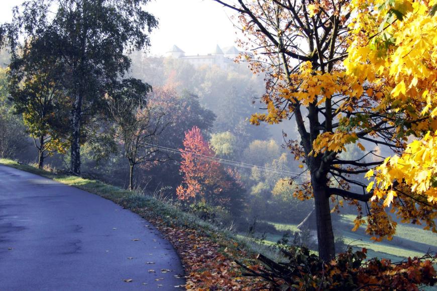 0 Sterne Hotel: Vital & Wellnesshotel Schürger - Thurmansbang, Bayerischer Wald, Bild 6