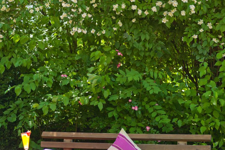 0 Sterne Hotel: Vitalhotel Vier Jahreszeiten - Bad Füssing, Bayern, Bild 9