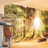 Thermenhotel Apollo, Bild 7