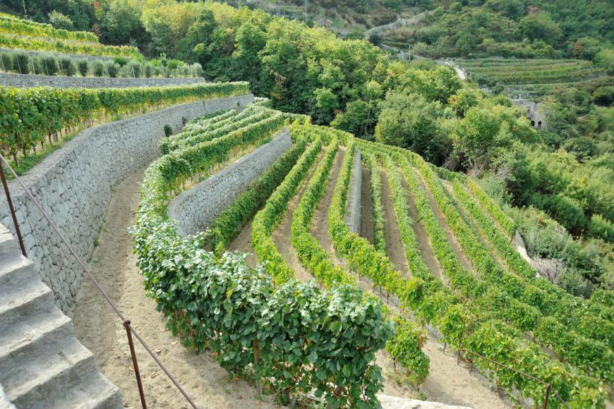 3 Sterne Hotel: Hotel Terme La Pergola & Villa Flavio - Casamicciola (Ischia), Ischia, Bild 10