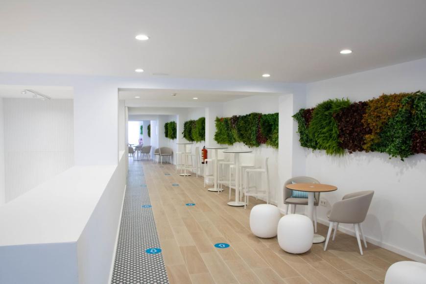 3 Sterne Hotel: Blue sea Mediodia - Arenal, Mallorca (Balearen), Bild 4