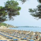 Morlans Garden, Bild 3