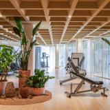 Zel Mallorca, Bild 10