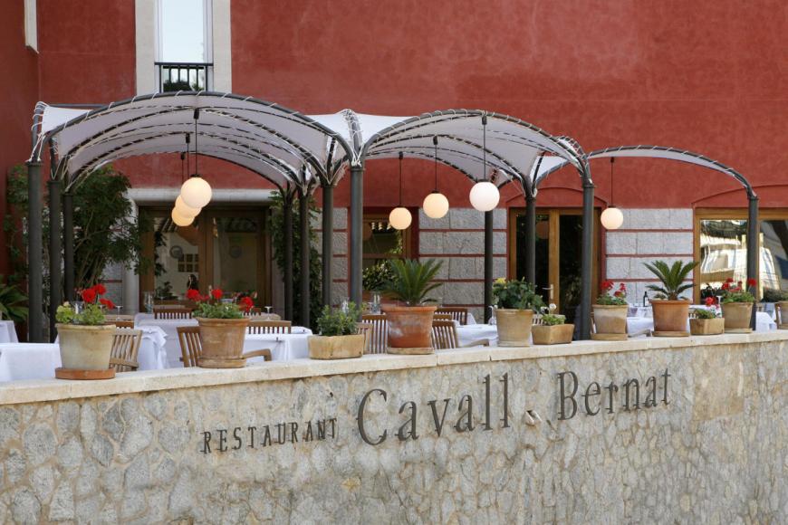 4 Sterne Hotel: Cala Sant Vicenc - Cala San Vicente, Mallorca (Balearen), Bild 8