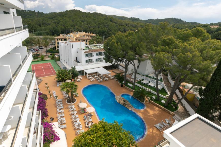 4 Sterne Hotel: Ona Palmira Paguera - Paguera, Mallorca (Balearen), Bild 4