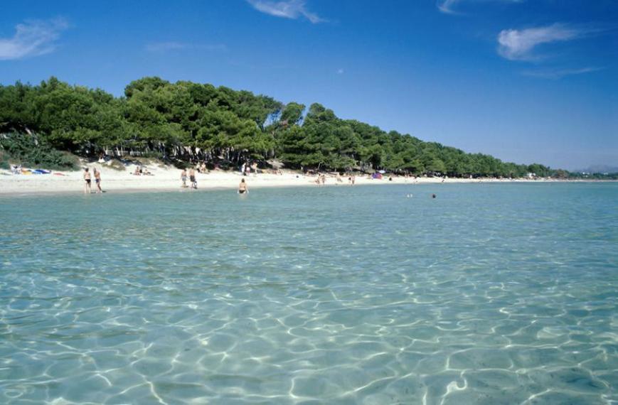 2 Sterne Familienhotel: Siesta I - Alcudia, Mallorca (Balearen), Bild 3