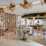 Dreams Royal Beach Punta Cana, Bild 8