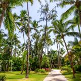 Impressive Punta Cana, Bild 3