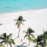 Hyatt Ziva Cap Cana, Bild 9