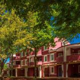 Apartments Amfora Plava Laguna, Bild 2