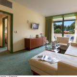 Hotel Aurora Plava Laguna, Bild 3