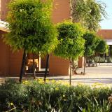 Aqua Mirage Club, Bild 5