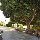 Mitsis Rodos Maris, Bild 8