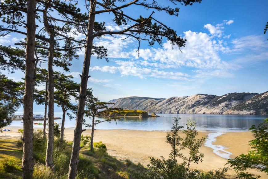 4 Sterne Hotel: San Marino Camping Resort by Valamar - Lopar (Insel Rab), Insel Rab