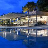 Blue Dolphin, Bild 6