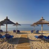 Blue Dolphin, Bild 2