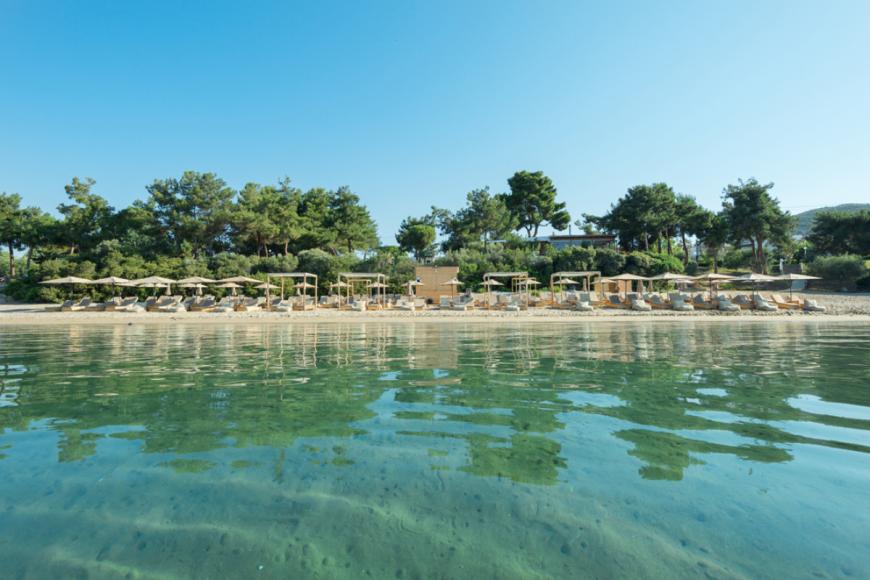 4 Sterne Hotel: Trikorfo Beach Villas - Gerakini, Chalkidiki, Bild 3