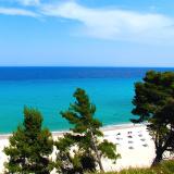 Canvas by Mitsis Alexander The Great, Bild 7