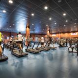 La Palma Princess, Bild 6