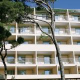 4 Sterne Hotel: Bluesun Hotel Marina, Brela, Dalmatien