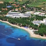 Bluesun Borak, Bild 1