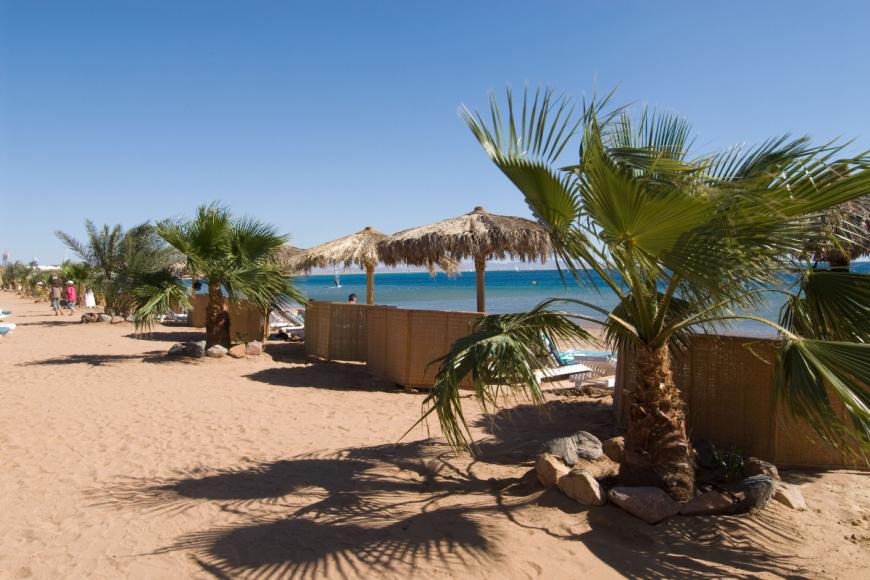 4 Sterne Familienhotel: Swiss Inn Resort Dahab - Dahab, Sinai, Bild 8