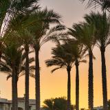 Rixos Sharm El Sheikh - Adults Only, Bild 7