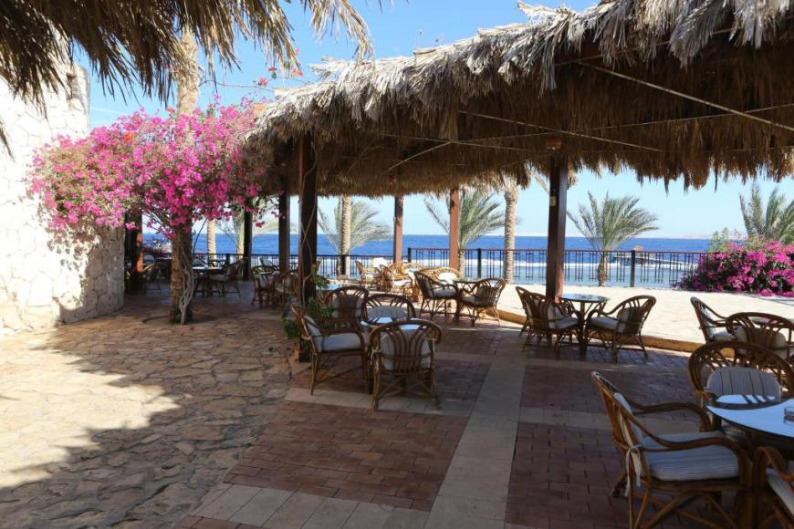 4 Sterne Familienhotel: Tamra Beach Resort - Sharm el Sheikh, Sinai, Bild 2