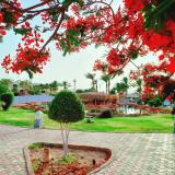 Royal Regency Club, Bild 2