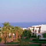 Amphoras Blu - Adults Only, Bild 2