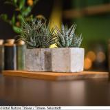 Nature Titisee - Easy Life Hotel, Bild 2