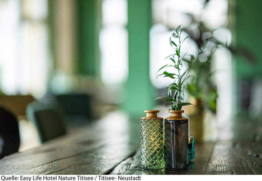 0 Sterne Hotel: Nature Titisee - Easy Life Hotel - Titisee, Schwarzwald, Bild 7