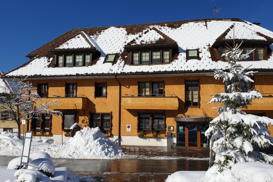 4 Sterne Hotel: Bio- und Wellnesshotel Alpenblick - Höchenschwand, Baden-Württemberg