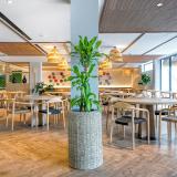 Hovima Suites Costa Adeje (ex Labranda Suites Costa Adeje), Bild 7