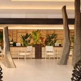 Hyatt Ziva Jardin Tropical Tenerife (ex. Dreams Jardin Tropical), Bild 6