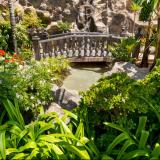 Don Manolito, Bild 4