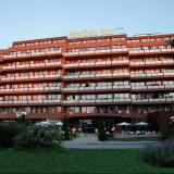 Gladiola Star, Bild 2