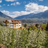 Landhaus Hotel Kristall, Bild 7